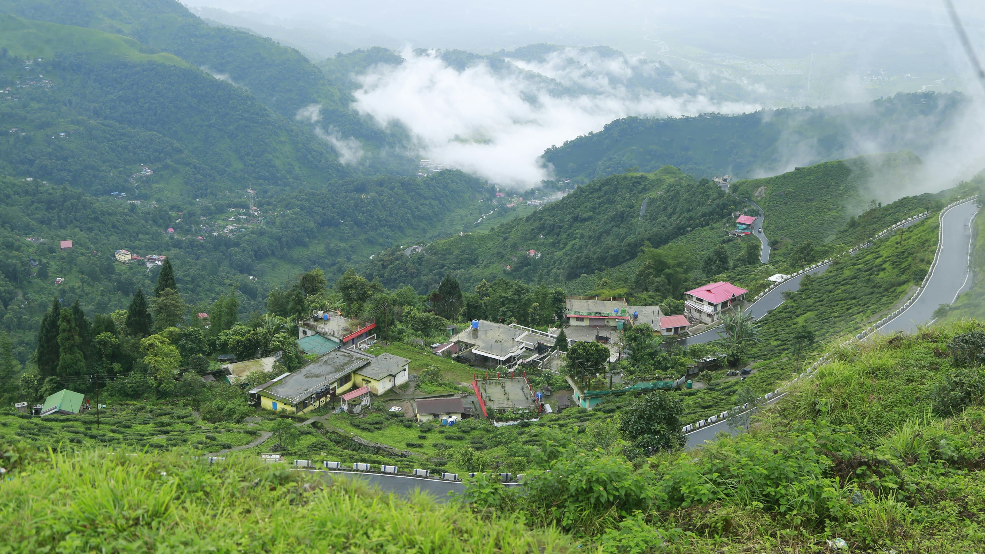 Best Places to Visit in August in India: Top Monsoon-Friendly Tourist Destinations